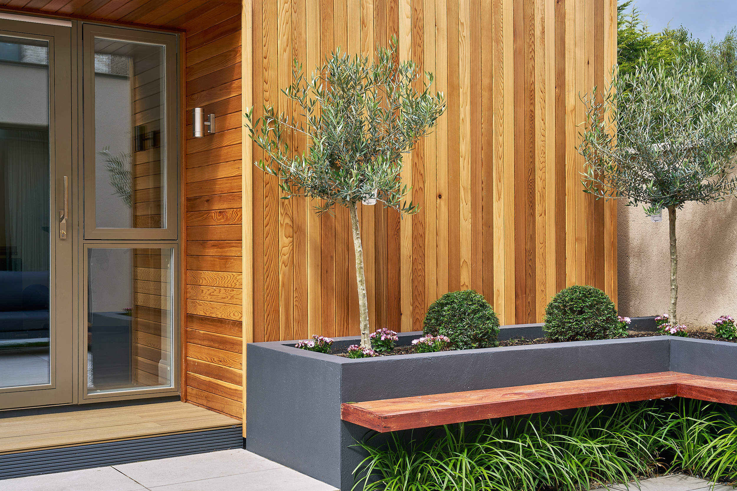 Cedar cladding and the studio's aluminium door, an olive tree in the raised planter alongside