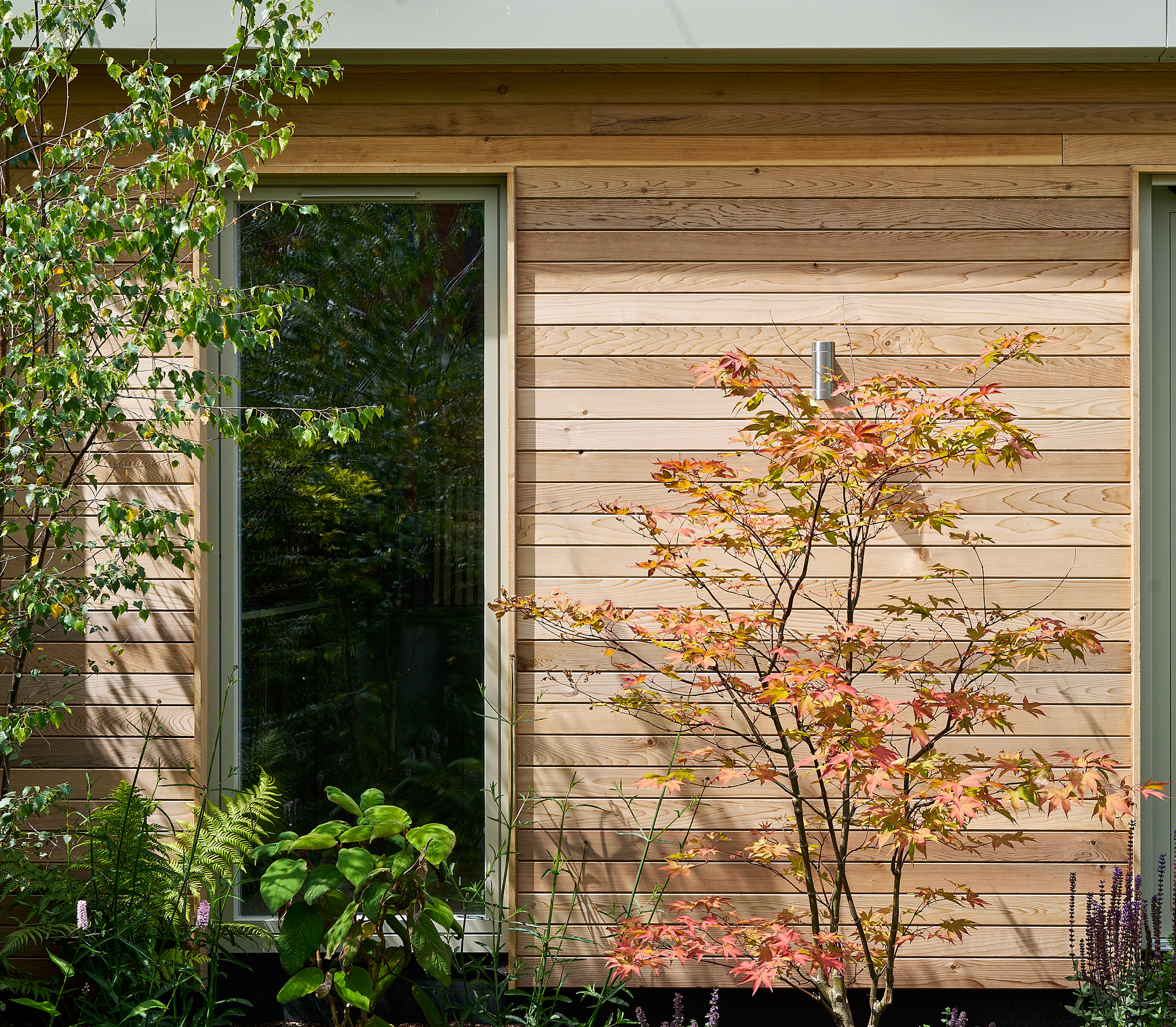 Cedar cladding detail on the Templemore Avenue studio