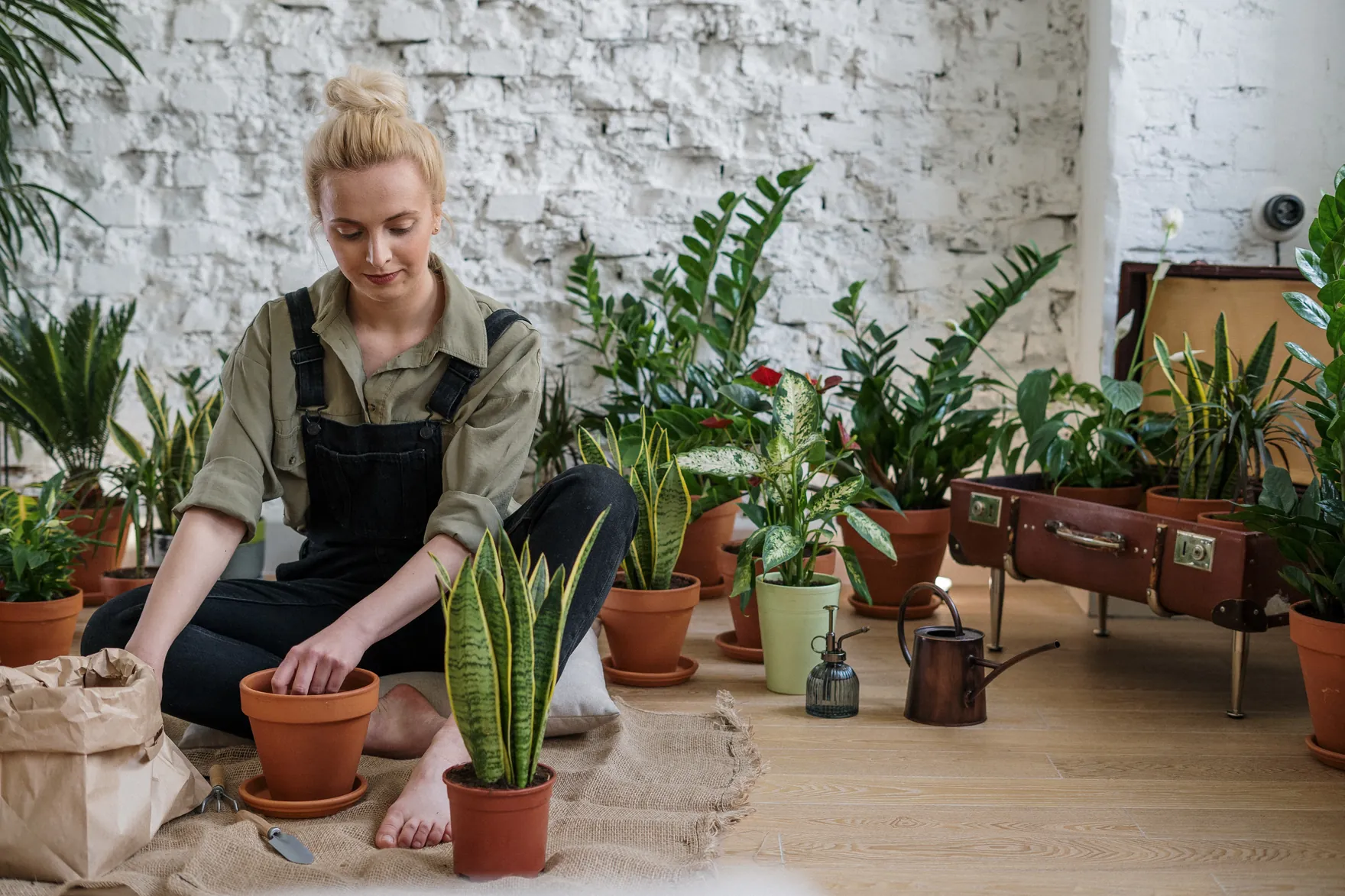 A woman sitting on the floor potting houseplants